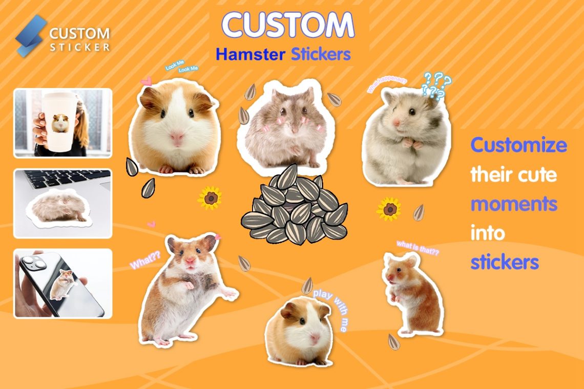 Can Hamsters Die of Stress? Bevwo