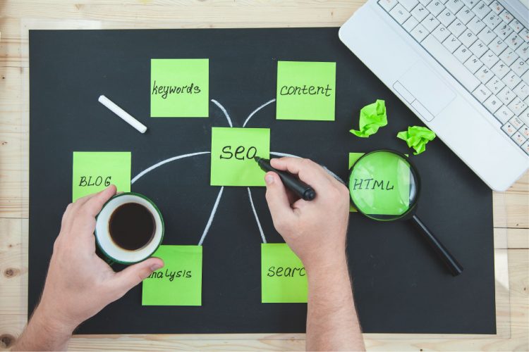 SEO and SERP: The things you need to know as basics