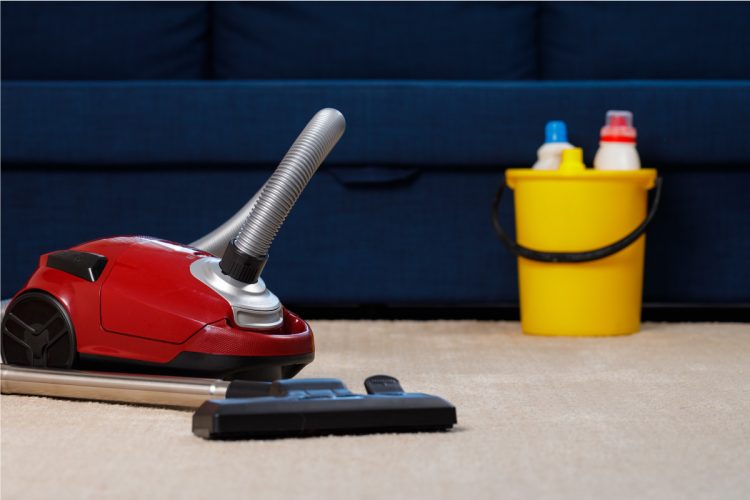 Carpet Cleaning Northern Beaches: 6 Practical Carpet Maintenance Tips