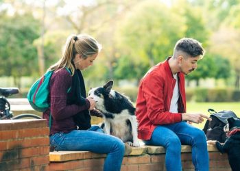 Two Pet Services You Can Use To Reward Your Pet