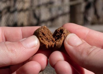 How long do Delta 8 gummies take to leave the body?