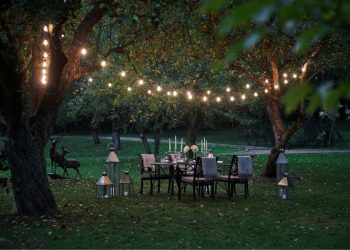 How to take care of a lawn in Florida