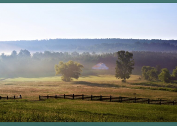 Addiction to Fentanyl: What You need to Know