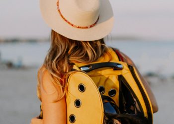 10 Things to Remember When Traveling with Your Dog