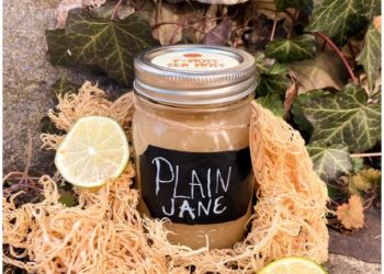 Sea Moss Gel Benefits