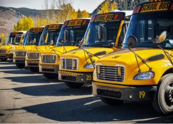 “Best places to find customers for your egg distribution business “