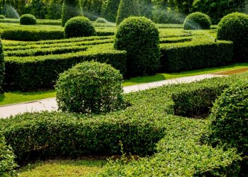 Function and Form Balance: 5 Front Yard Themes for Every Taste