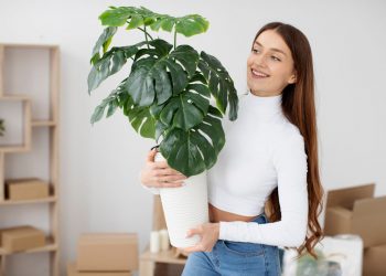 How to Move Out Without Losing Your Mind: A Guide To Being An “Adult”