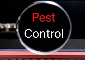 Best Pest Control Services for the Great Montreal Area