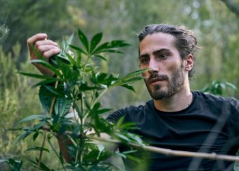 What Is a Recreational Cannabis Dispensary?