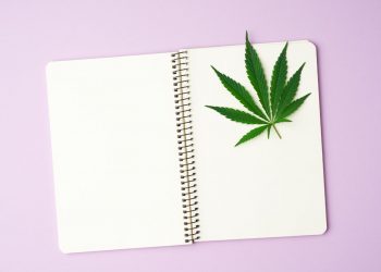 The power in keeping a weed diary for your different strains and brands