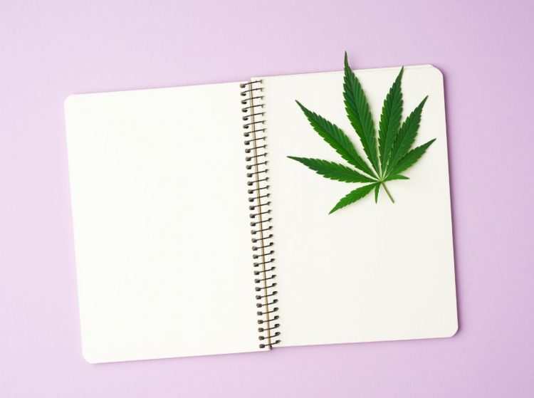 The power in keeping a weed diary for your different strains and brands