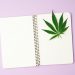 The power in keeping a weed diary for your different strains and brands