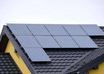 The Solar Power Paradox: To Use or Not to Use in Your Business
