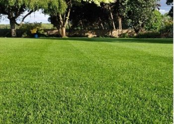 Seeding Success: The Grass is Greener with Our Supplies!