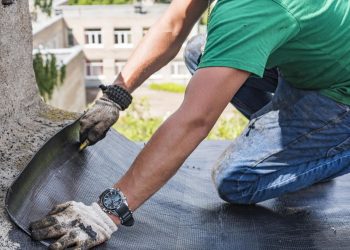 Signs of Rodent Infestation and How to Address Them