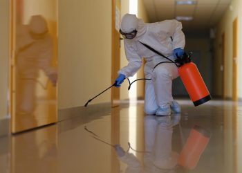 The Importance of Pest Control for Your Business: Protecting Customers, Hygiene, and Reputation