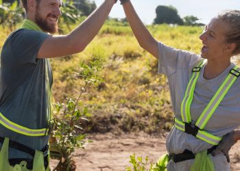 The Fascinating Science Behind Nature’s Synergies: Unveiling the Hidden Connections