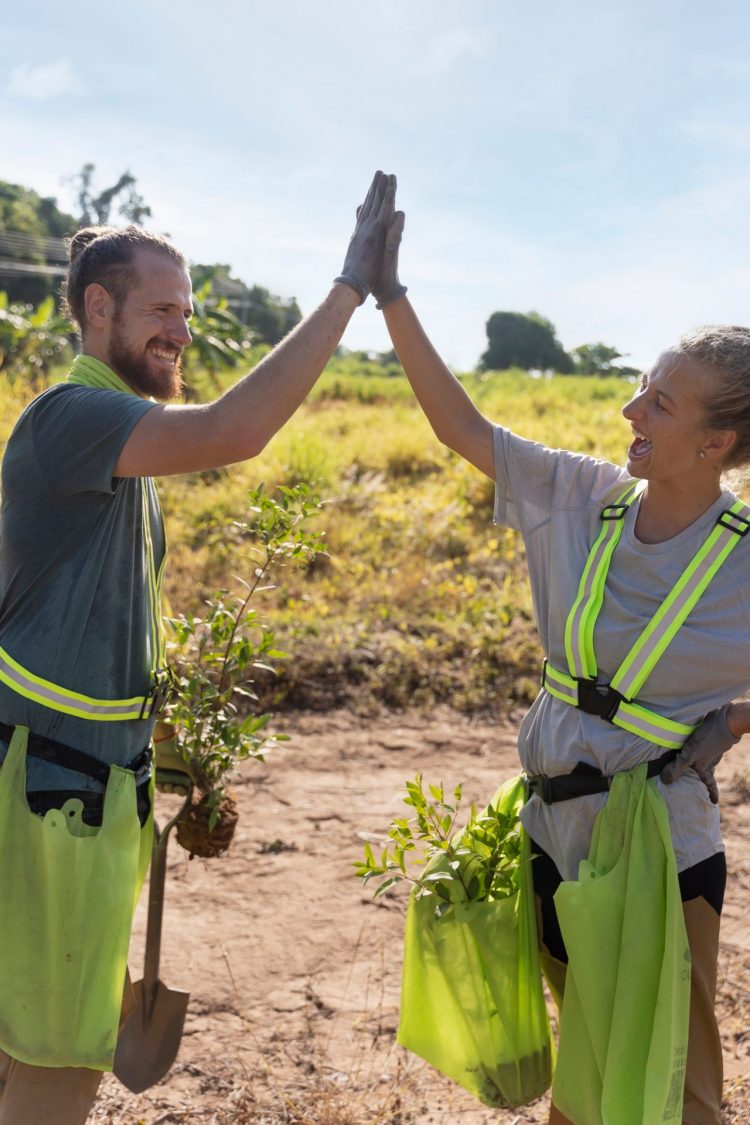 The Fascinating Science Behind Nature’s Synergies: Unveiling the Hidden Connections