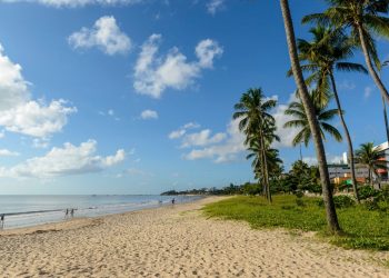 Best Types of Fishing Charters in Madeira Beach