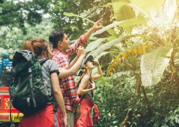 Kerala Tour Packages from Banglore