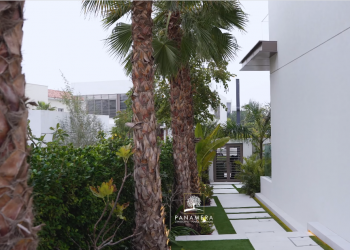 Landscaping Companies in Dubai: Creating Luxurious Outdoor Spaces