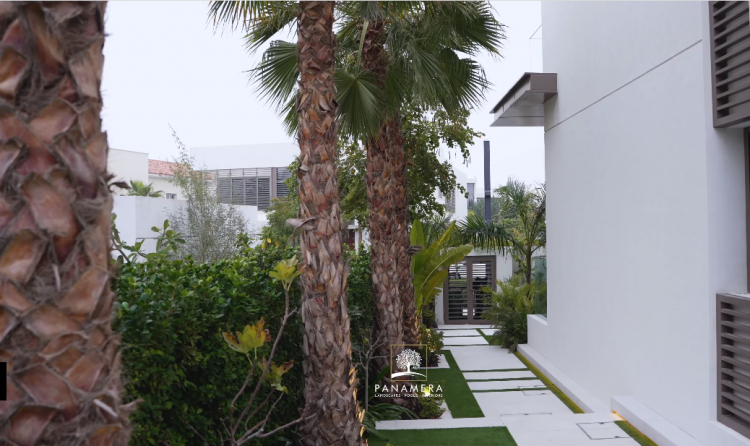 Landscaping Companies in Dubai: Creating Luxurious Outdoor Spaces