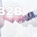 Unleashing the Power of Unlimited B2B Leads: A Game-Changing Strategy for Business Growth