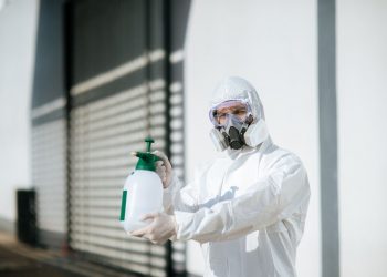 Discover the Benefits of Professional Pest Control Crofton MD