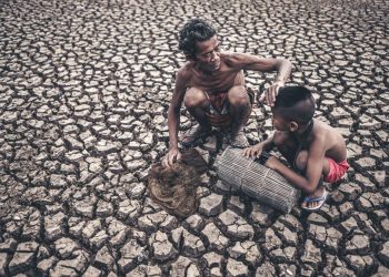 How Do Natural Disasters Contribute to Genetic Drift?