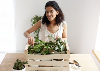 Herb Gardening Made Easy: Exploring the Benefits of Fabric Pots