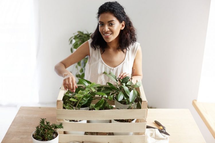Herb Gardening Made Easy: Exploring the Benefits of Fabric Pots