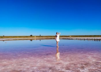 The Top Florida Shelling Beaches Along the East Coast