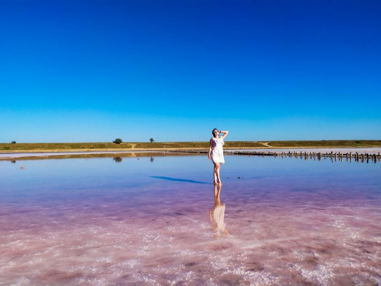 The Top Florida Shelling Beaches Along the East Coast