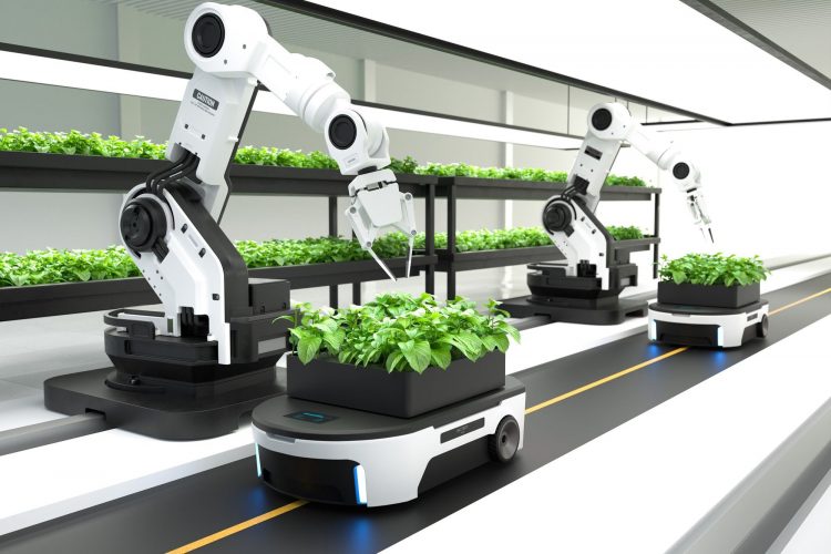 How Artificial Intelligence Has Transformed One Garden Business and Slashed Garden Writer’s Cost by 95%