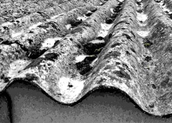 Asbestos testing is a vital step that should not be skipped, no matter what the outcome may be.