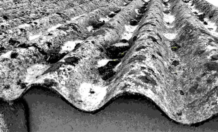 Asbestos testing is a vital step that should not be skipped, no matter what the outcome may be.