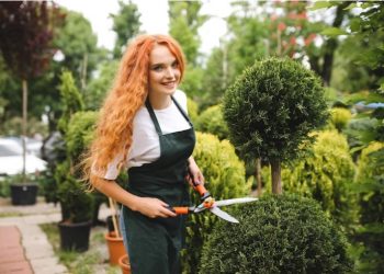 The Ultimate Guide To Landscaping With Trees: Tips And Ideas For A Stunning Outdoor Space