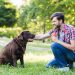 Loyal Companions: Dog Breeds Known for Bonding with One Person