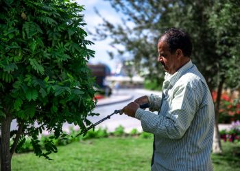 How to Hire the Right Landscaper in Huntsville