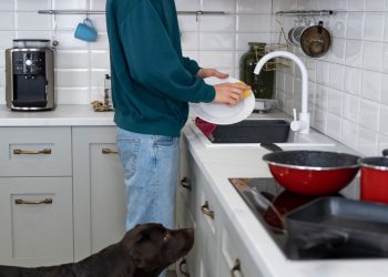 Kitchen Upgrade in San Diego: Trends and Ideas