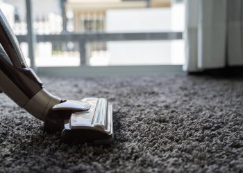 The Significance of Professional Carpet Cleaning: Ensuring a Healthier Home