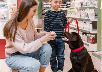 How to Choose the Best Pet Products?