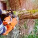 Choosing the Right Tree Removal Service: What to Look for in a Melbourne Arborist