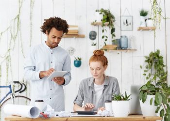 Understanding Plant Hire: What It Is and How It Works