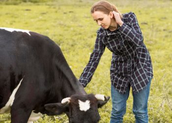 Virus Shield Disinfectant: Your Ultimate Defence