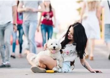 Choosing the Ideal Puppy for Kids