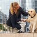 Dog Health Tips: Ensuring Your Best Friend’s Wellbeing
