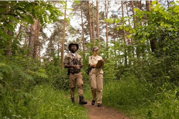 Exploring the World of WWII Tanks: A Journey with “Tracks of Steel”!