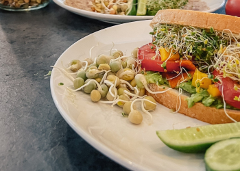 Health Benefits of Sprouts: An Overlooked Superfood